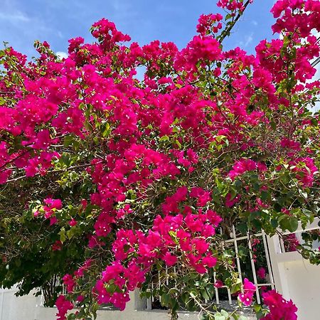 Les Villas Du Bambou - Villa Paprika Jusqu'A 6 Pers Le Gosier  Extérieur photo
